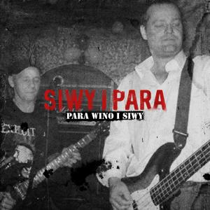 Dengarkan lagu Ja idę sam (Explicit) nyanyian Para Wino dengan lirik