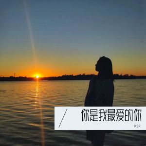 Album 你是我最爱的你 oleh KSR