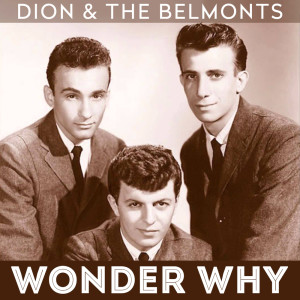 ดาวน์โหลดและฟังเพลง Wonder Why พร้อมเนื้อเพลงจาก Dion & The Belmonts