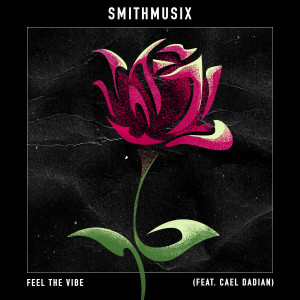 收聽Smithmusix的Feel The Vibe (DJ版)歌詞歌曲