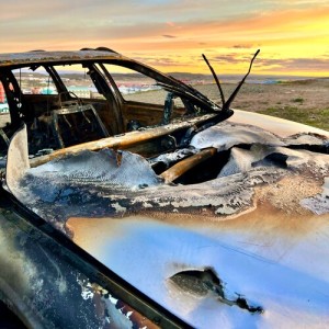 Album Dead or Dying (Summer Version) from 