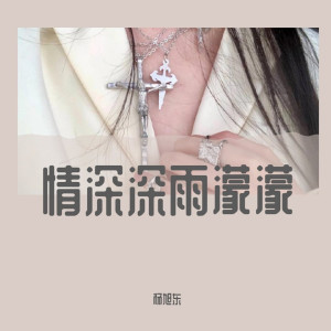 收聽楊旭東的Rise And Fall（DJ咚鼓版）歌詞歌曲