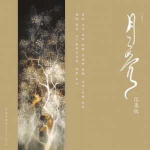 Listen to 月亮记录仪 (完整版) song with lyrics from 挽萤
