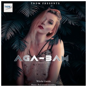 Wiola Gaida 的專輯Aga-3AM