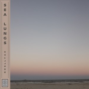 ดาวน์โหลดและฟังเพลง Sea Lungs พร้อมเนื้อเพลงจาก Nosllyah