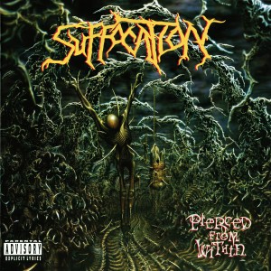 ดาวน์โหลดและฟังเพลง The Invoking พร้อมเนื้อเพลงจาก Suffocation