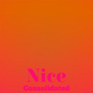 Various Artists的專輯Nice Consolidated