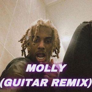 Ragex的专辑Molly (Guitar Remix) (Explicit)