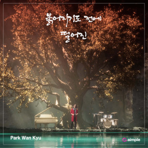 ดาวน์โหลดและฟังเพลง Not Meant To Be พร้อมเนื้อเพลงจาก Park Wan Kyu