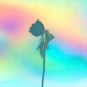 收听MORGAN MORONES的What Was I Thinking歌词歌曲