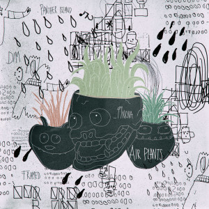 收聽_91nova的Air Plants歌詞歌曲