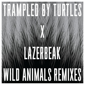 收聽Trampled By Turtles的Are You Behind the Shining Star? (Lazerbeak Remix)歌詞歌曲