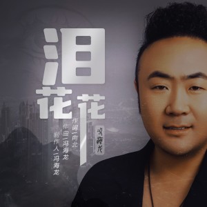 馮海龍的專輯淚花花（DJ版）