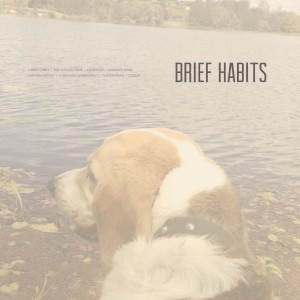 ดาวน์โหลดและฟังเพลง Captain Cricket พร้อมเนื้อเพลงจาก Brief Habits