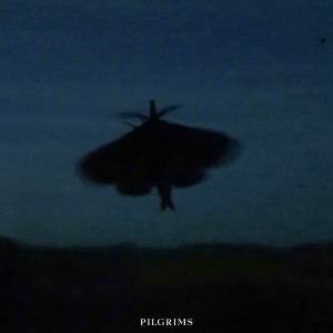 CS Nielsen的專輯Pilgrims