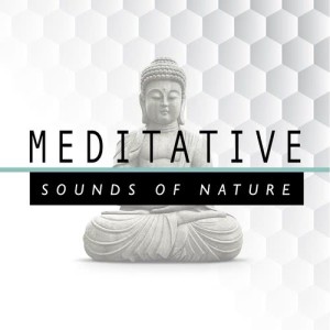 Meditative Sounds of Nature