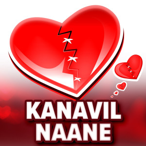 Listen to Kanavil Naane song with lyrics from Vinoth Chandar