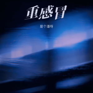 Listen to 重感冒 (cover: 流浪声乐生) (完整版) song with lyrics from 是个潘呀