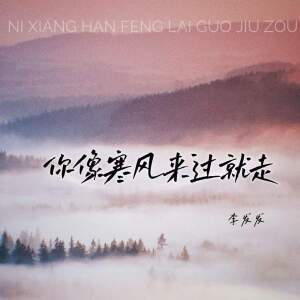 Album 你像寒风来过就走 from 李发发