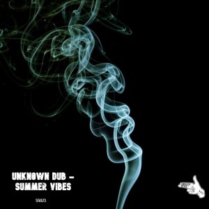 ดาวน์โหลดและฟังเพลง Summer Vibes พร้อมเนื้อเพลงจาก Unkn0wn Dub