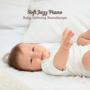 Chilled Out Lounge Music的专辑Soft Jazz Piano: Baby Calming Soundscape