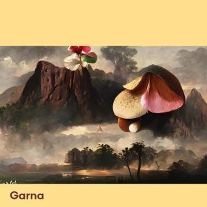 收聽Garna的Bussines歌詞歌曲