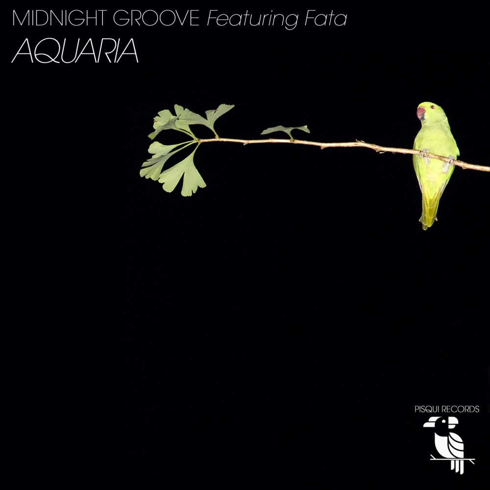 Aquaria (Gold Groove Mix)