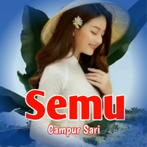 Album Semu from Erin Sabrina