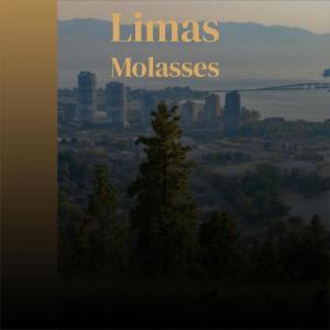 Listen to Hamming song with lyrics from Pira Anas