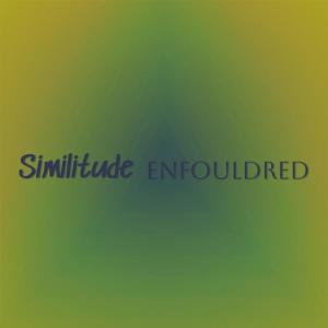 Album Similitude Enfouldred from Various