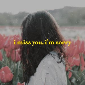 I Miss You, I'm Sorry