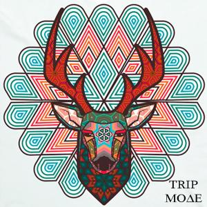 Listen to TripMode (full|Explicit) song with lyrics from Hatsuki