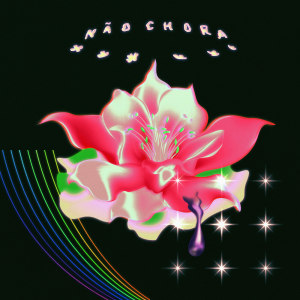 Listen to Não Chora (LAZA Remix) song with lyrics from KIRA1312