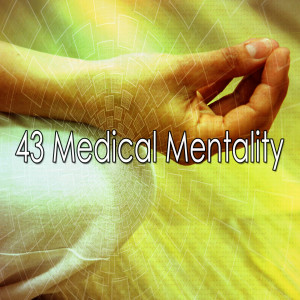 ดาวน์โหลดและฟังเพลง Marvel in Meditation พร้อมเนื้อเพลงจาก Classical Study Music