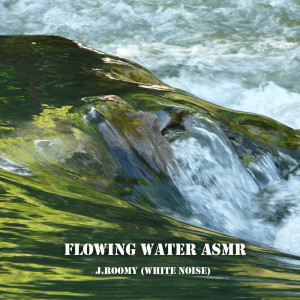 ดาวน์โหลดและฟังเพลง Flowing Water ASMR (Nature Sound) พร้อมเนื้อเพลงจาก J.Roomy