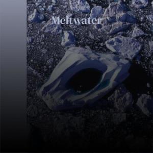 Various的专辑Meltwater