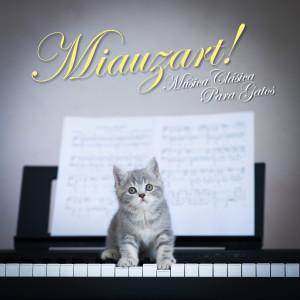 收聽Narciso Yepes的2. Adagio (Excerpt)歌詞歌曲