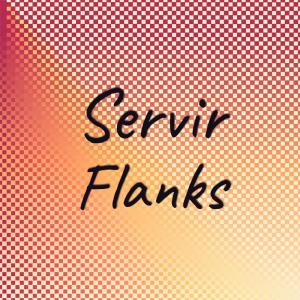 Various Artists的專輯Servir Flanks