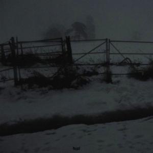 收聽réwqu的midnight (Explicit)歌詞歌曲