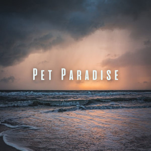 Album Pet Paradise: Ocean Beats with Binaural Sounds to Ease Anxiety from Sundays By The Ocean