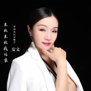 收聽安文的東北東北我的家(慢搖版) (慢搖版)歌詞歌曲