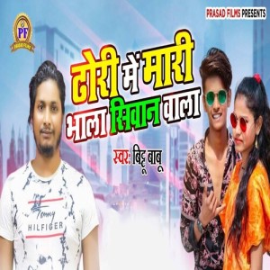 Listen to Dhodi Me Mari Bhala Siwan Wala song with lyrics from Bittu Babu