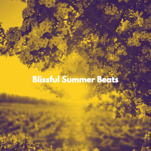 Album Blissful Summer Beats from Evening Jazz