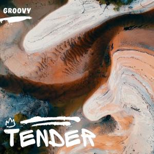Groovy的專輯Tender
