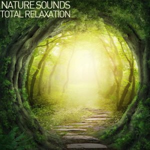 ดาวน์โหลดและฟังเพลง Birdsong in the Spring Sunshine พร้อมเนื้อเพลงจาก ดารานักร้องหลายคน