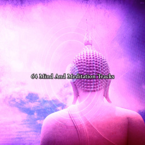 Album 64 Mind And Meditation Tracks oleh Nature Sounds Artists