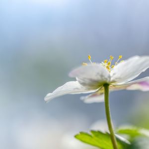 Listen to Relax song with lyrics from Sleep Sounds of Nature