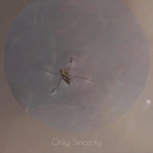 收聽Hannie Mezan的Only Sincerity歌詞歌曲