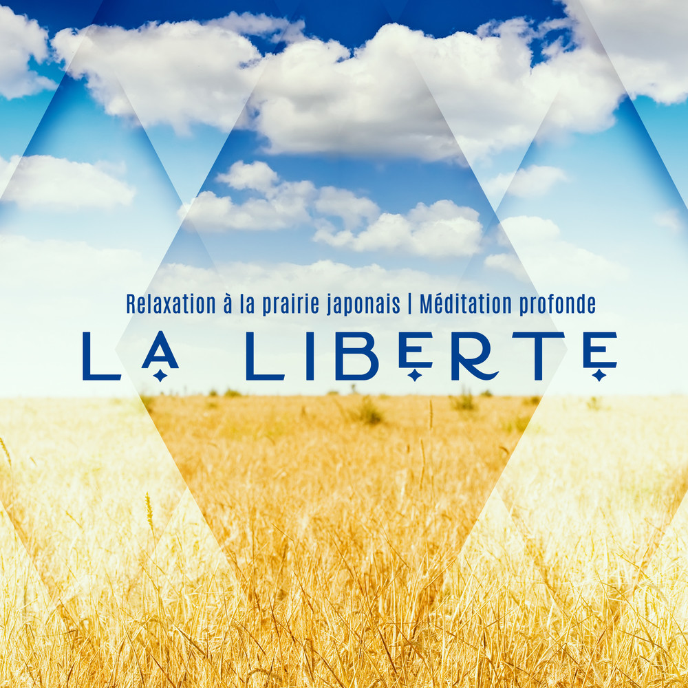 Plein de calme (其他)
