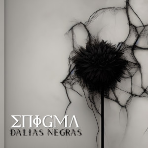 Enigma的專輯Dalias Negras